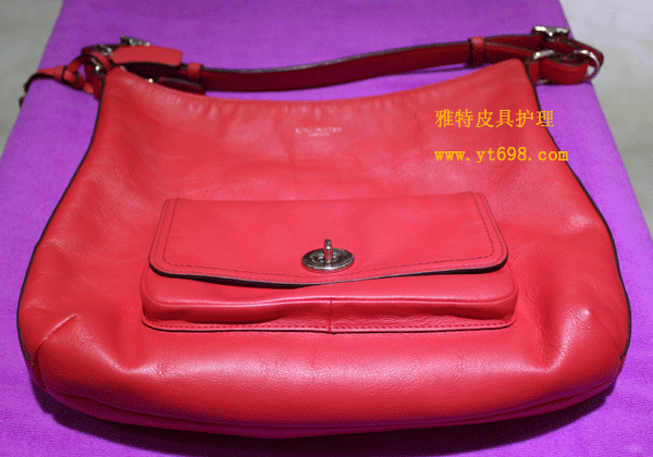 ɫޢۣCOACH˷£죩º