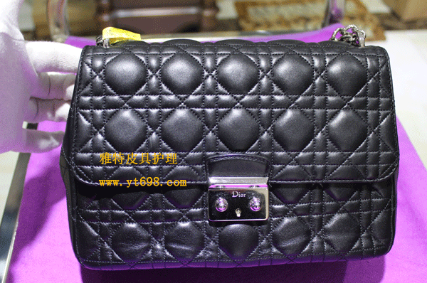 ϰ£DIOR̥Ƥ˻ݹ